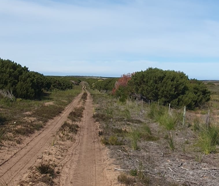 0 Bedroom Property for Sale in Riversdale Rural Western Cape